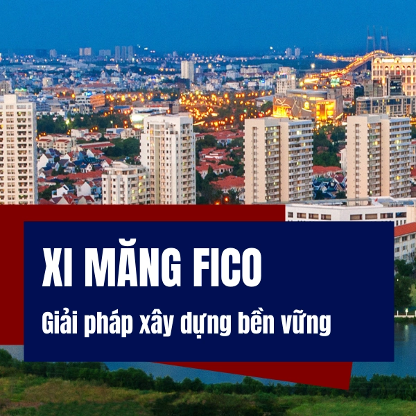 xi măng fico