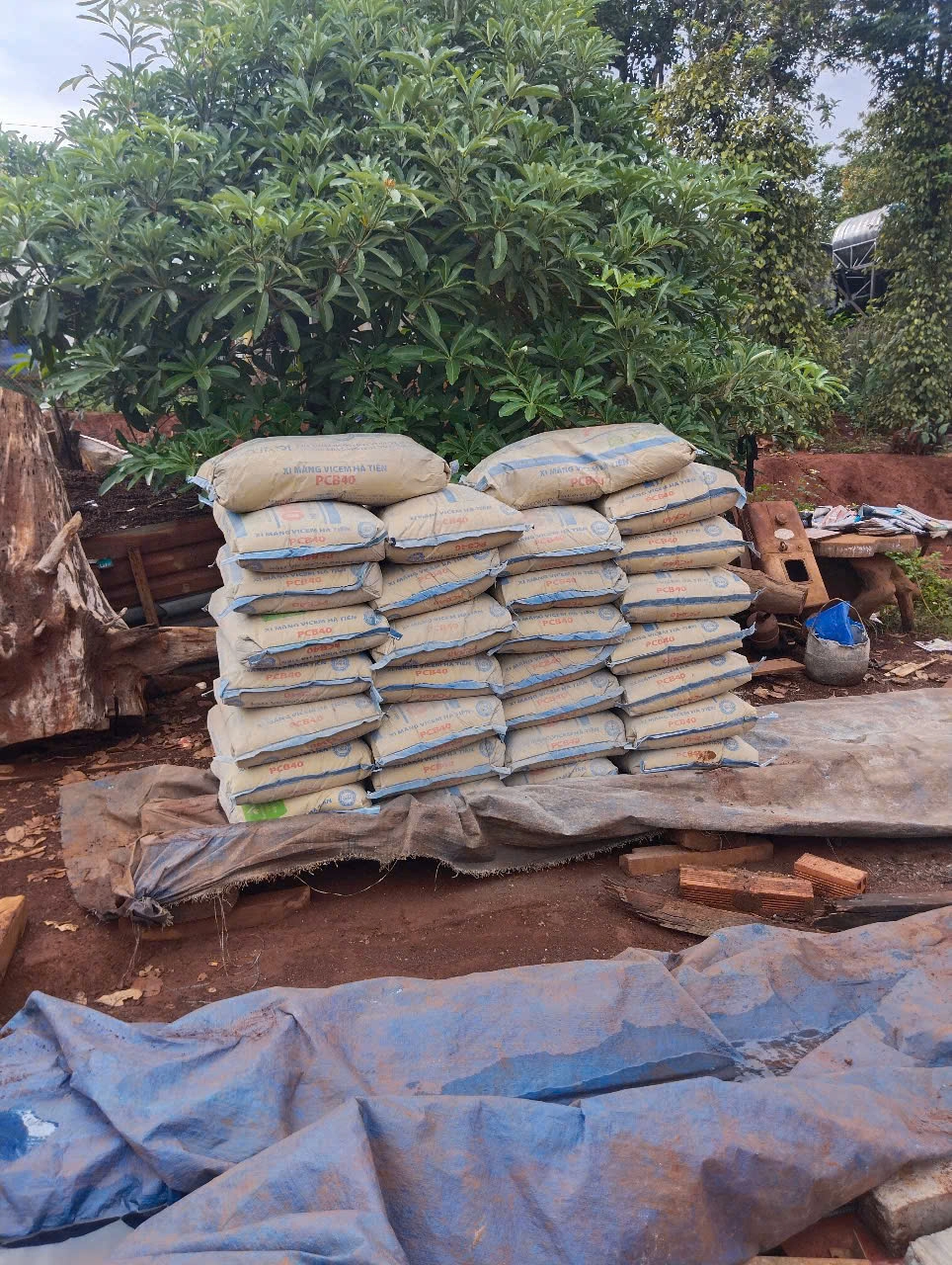 xi măng giao cho khách hàng số lượng lớn