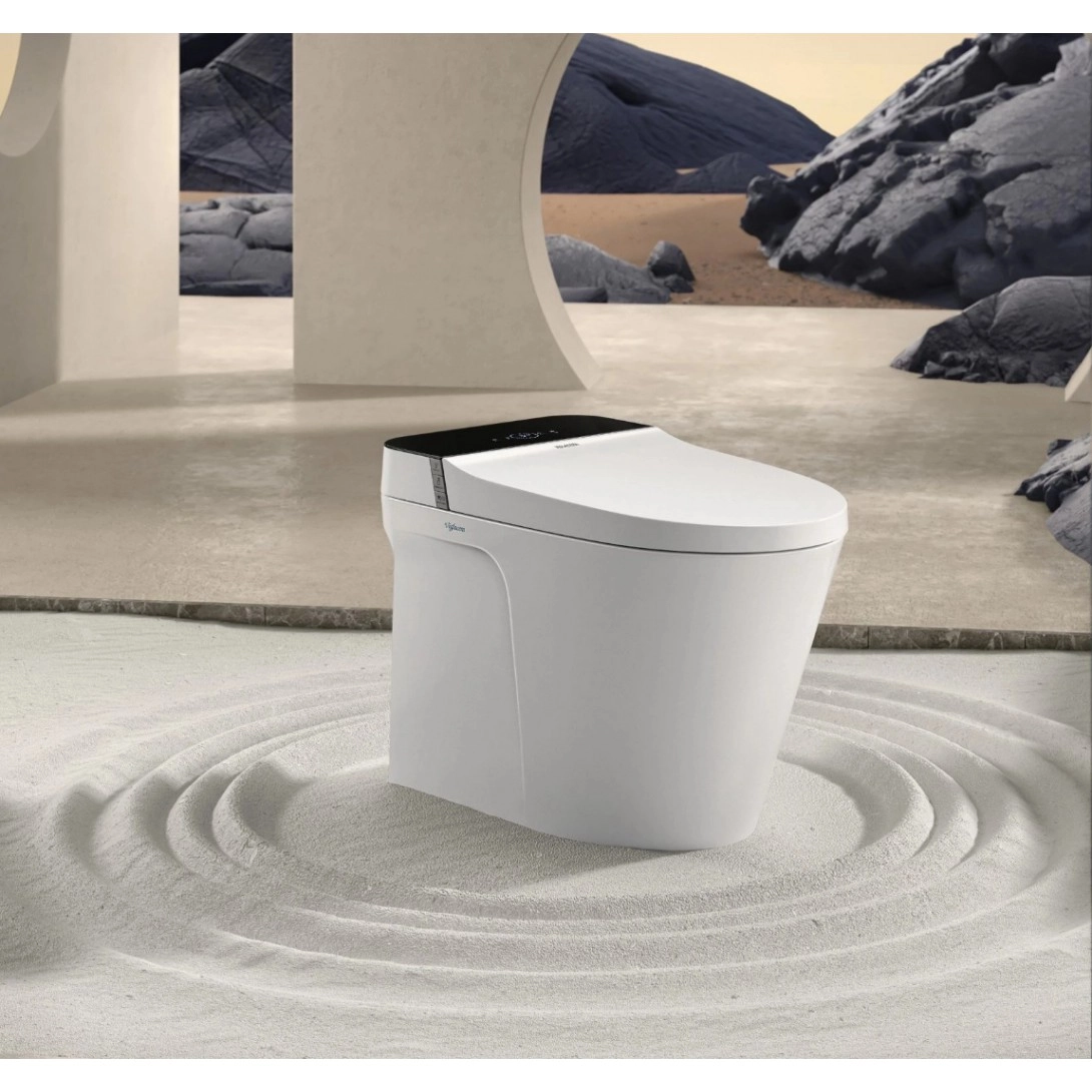 bồn cầu, bồn cầu viglacera